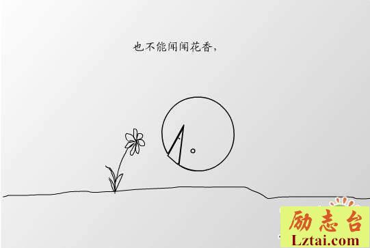 失落的一角读后感300字