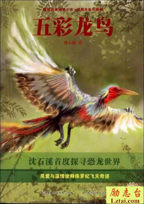五彩龙鸟读后感600字欣赏