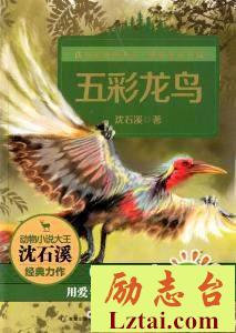 五彩龙鸟读后感600字欣赏