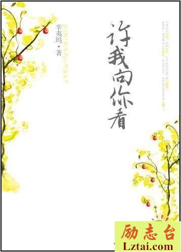许我向你看读后感1200字