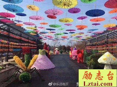 女人是绽放美丽的玫瑰花