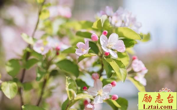 失恋句子女生伤感说说：记忆永远停留在那个夏天