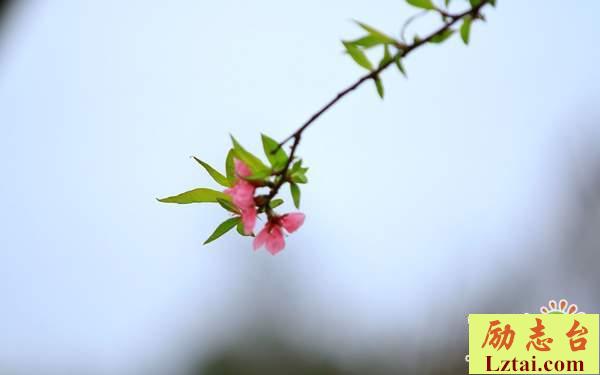 失恋句子女生伤感说说：记忆永远停留在那个夏天
