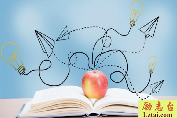 小学读后感100字：《土鸡大冒险》 图2