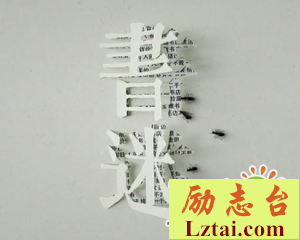 纪录片书迷观后感1100字
