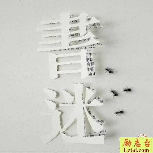 纪录片书迷观后感1100字