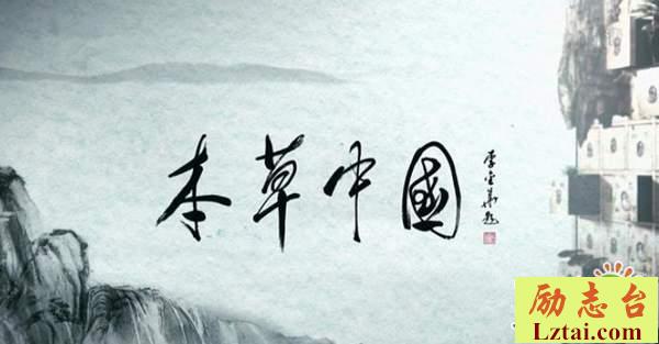 本草中国观后感1600字欣赏