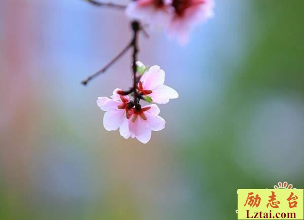 勇敢向前走的说说励志语录一句话：重拾勇气，明天你好