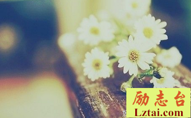 白白星座电台 |和大家聊聊射手座