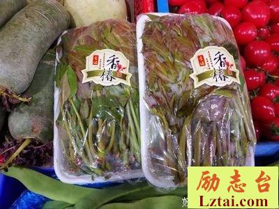 任性过了头，才是自由