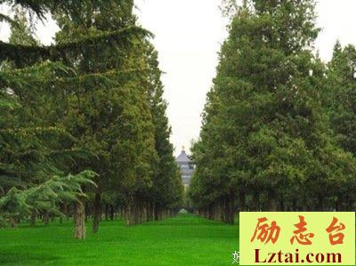 夫妻之间做过这三件“恶心事”，大都走到了白头，别不相信