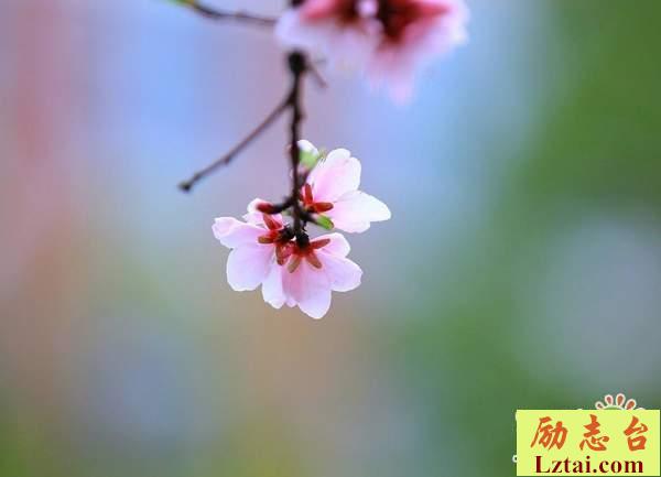 坚持自己梦想的句子励志说说：相信黑暗总会过去，只要不放弃自己