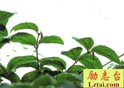 世间道路无捷径