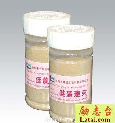 蓝藻：毁灭与兴盛