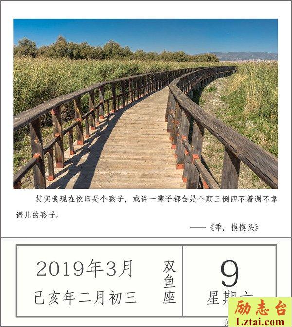 偶然，必然