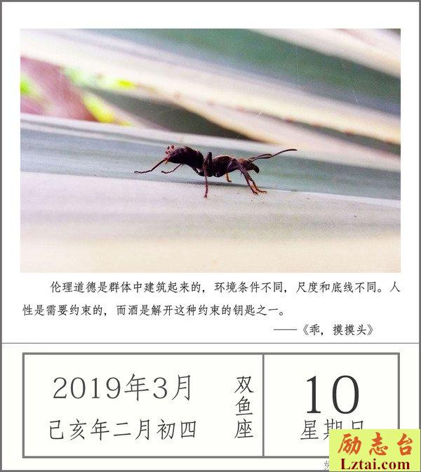 家长里短