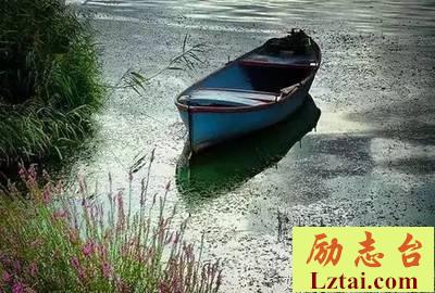 老了要想活得漂亮，就要扔掉这几样东西