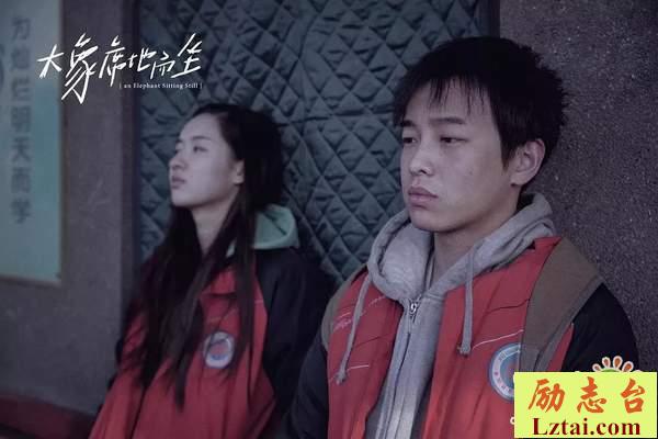 电影大象席地而坐观后感影评1500字