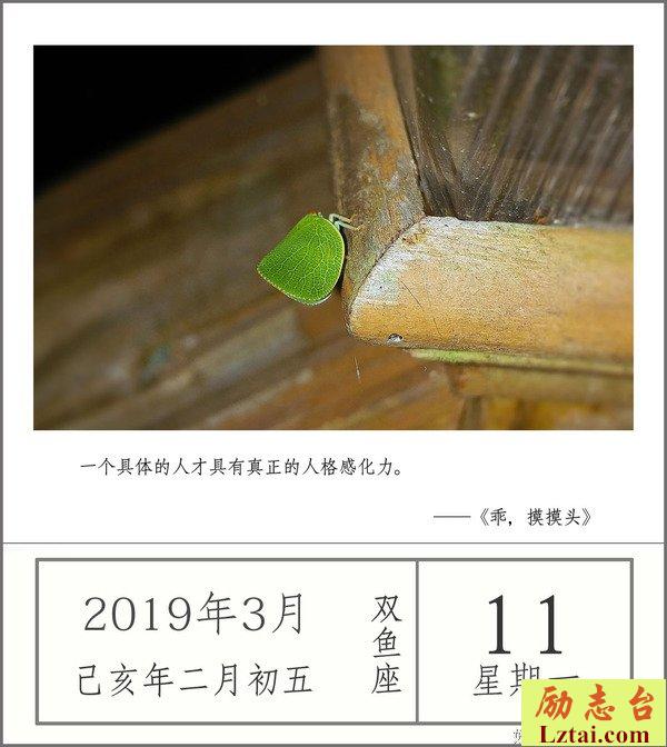 只有活出自己,才能照亮别人