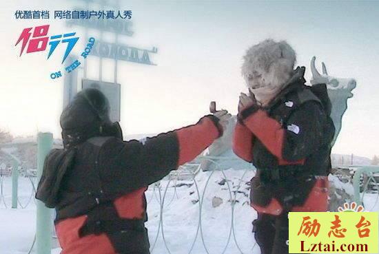 侣行观后感2600字欣赏