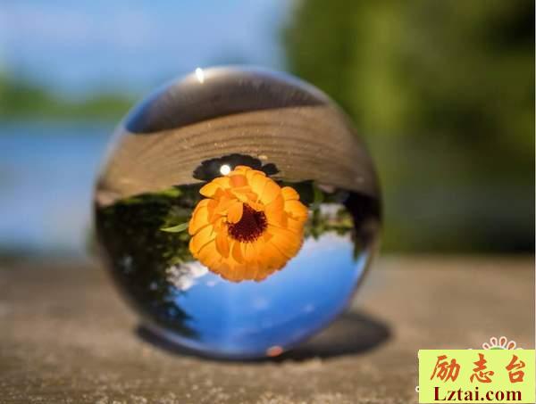 人要活出自我的励志情感句子说说：