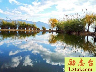 「风花雪月」六百六十九章