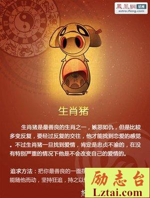十二星座追爱宝典