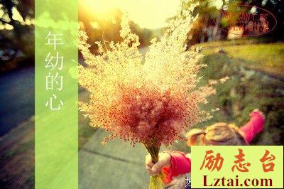 文字和花一样