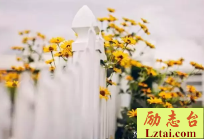 吃得下饭，睡得着觉，笑得出来