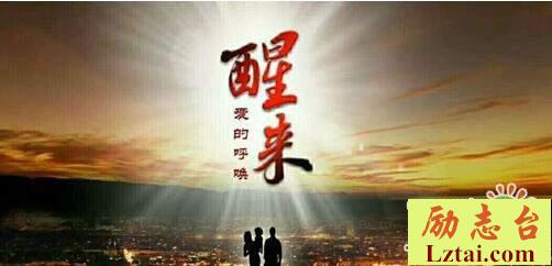 电影醒来之爱的呼唤观后感