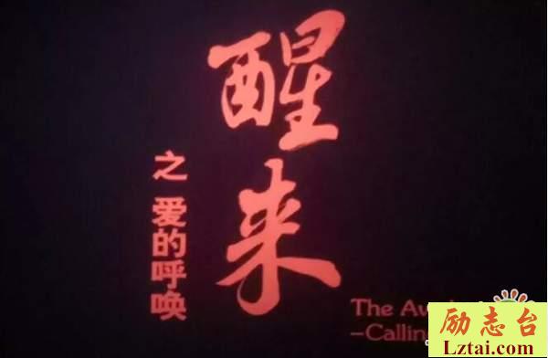 最新醒来之爱的呼唤观后感