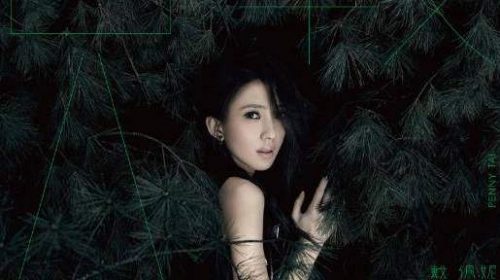野蔷薇歌词