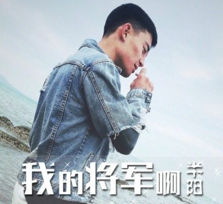 我的将军啊歌词