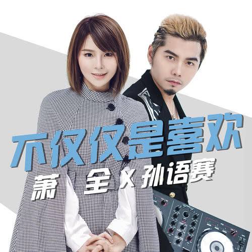 不仅仅是喜欢歌词