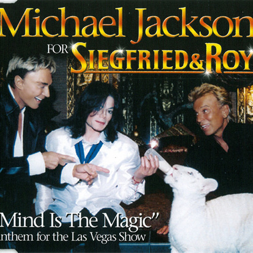 Michael Jackson - Mind Is The Magic (Falko Niestolik Radio Edit)歌词