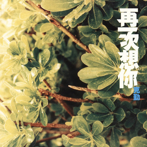 李克勤 - 再一次想你歌词