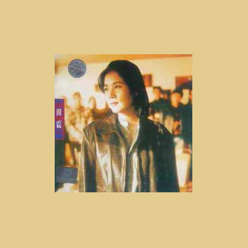 田震 - 回了又去去了再回歌词