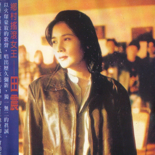 田震 - 野花歌词