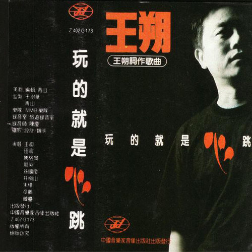 韩磊 - 一点正经没有歌词