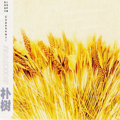 朴树 - NEW BOY歌词