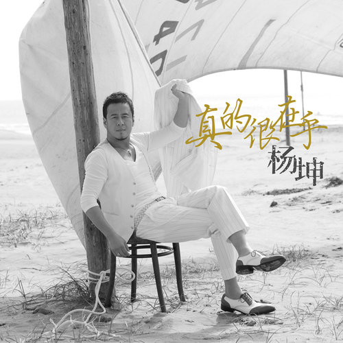 杨坤 - 弥补歌词