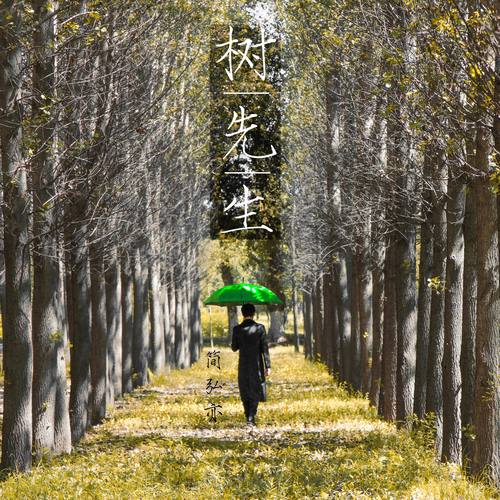 简弘亦 - 白瞳歌词