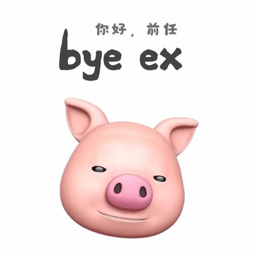 陈雪凝 - 你好前任歌词