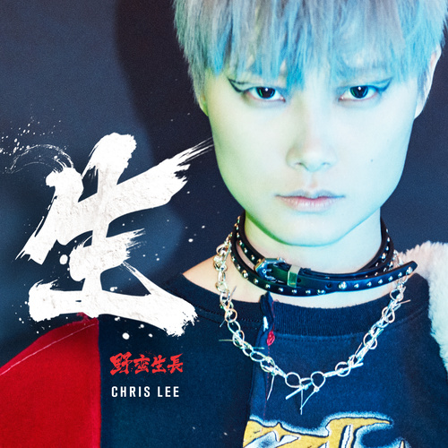 李宇春 - 无花果歌词