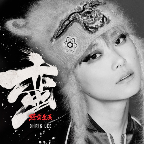 李宇春 - MAGICAL SHOW歌词