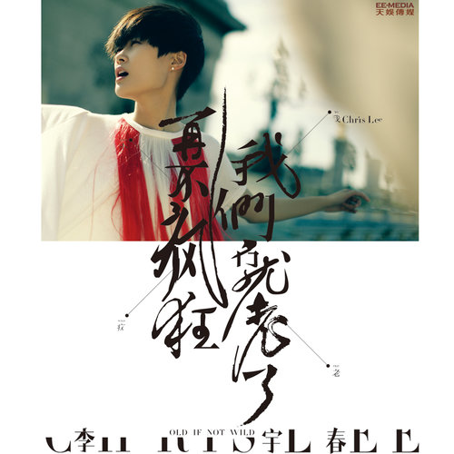 李宇春 - 再不疯狂我们就老了歌词