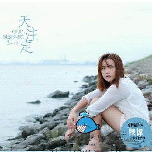 庄心妍 - 天注定歌词