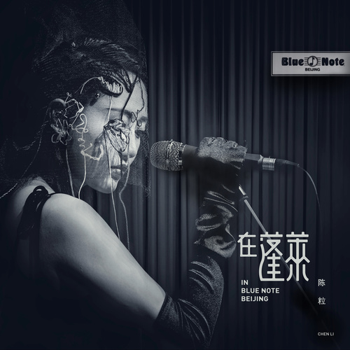 陈粒 - Secret Door 消息歌词