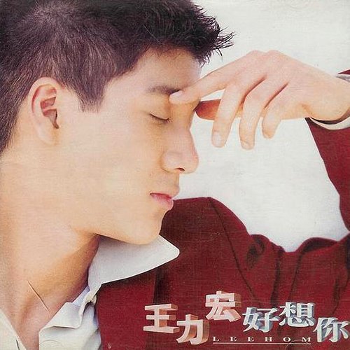 王力宏 - 好想你歌词