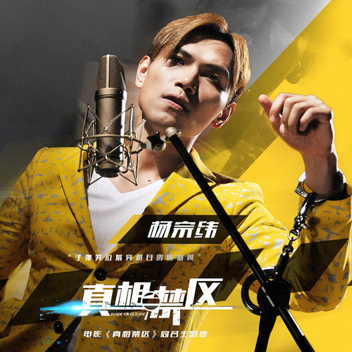 杨宗纬 - 真相禁区歌词